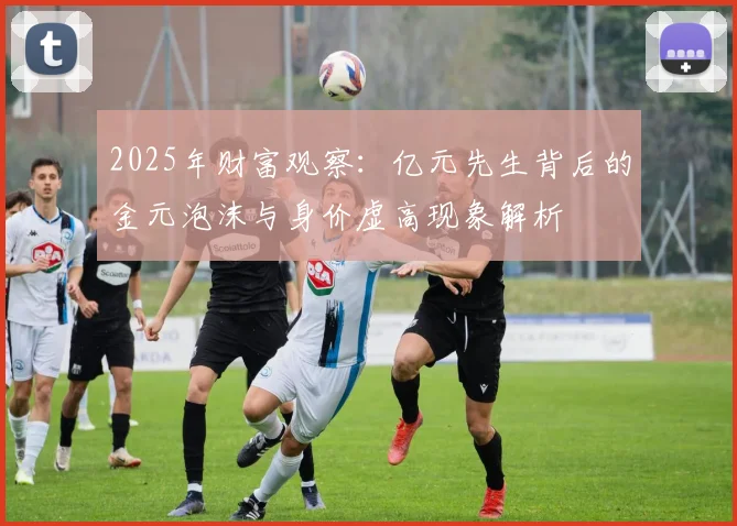 2025年财富观察：亿元先生背后的金元泡沫与身价虚高现象解析